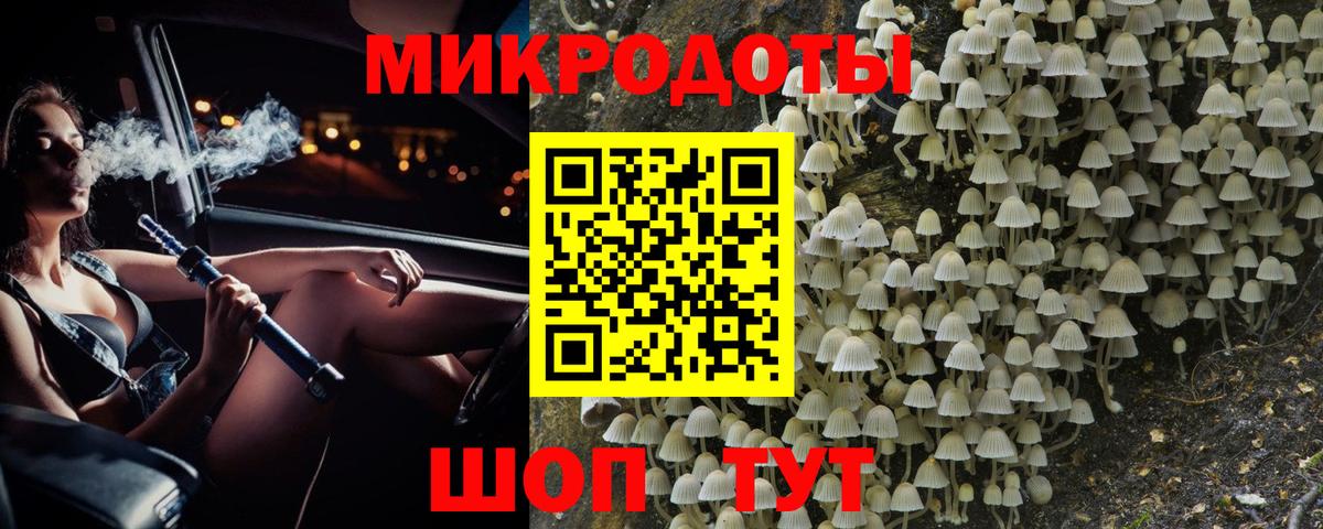 Галлюциногенные грибы ЛСД Богданович