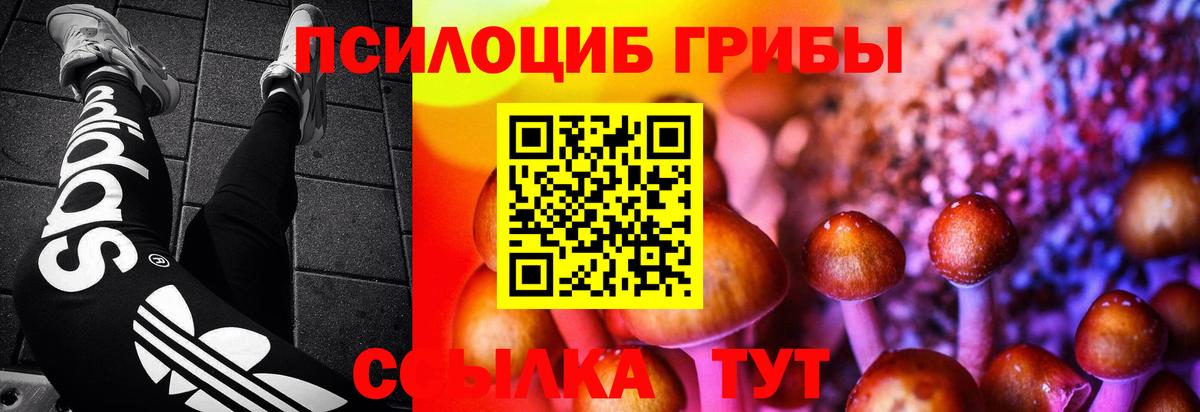 Галлюциногенные грибы Psilocybine cubensis  Вход с VPN  Богданович 